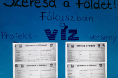 vizes1